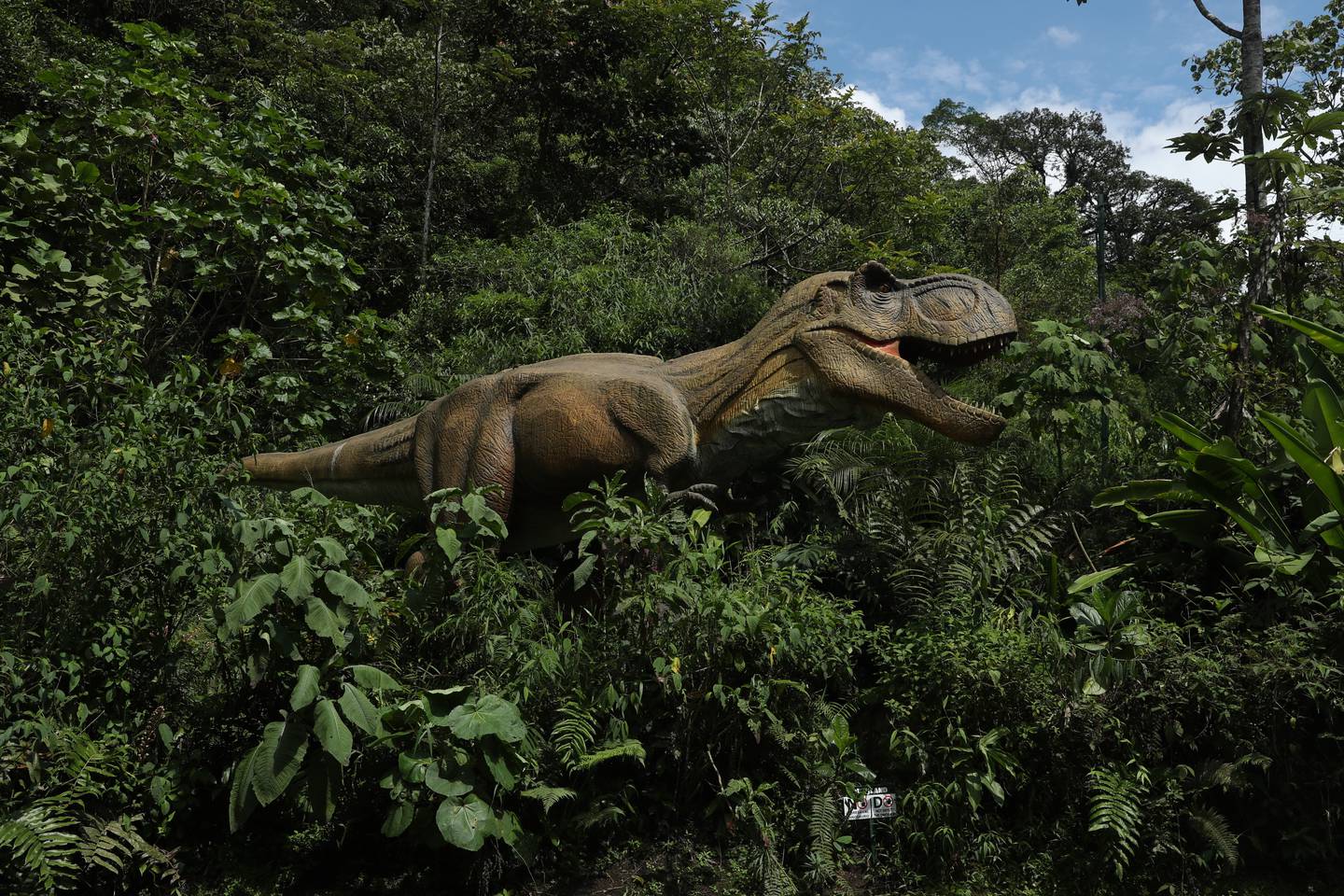10/06/2024/ Fotos de el parque temático Dino Land en Bajos del Toro Alajuela para Yuplón / Foto John Durán