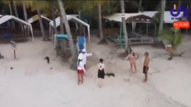 Denuncian supuesta atrocidad de turista extranjero contra un animalito en isla Tortuga