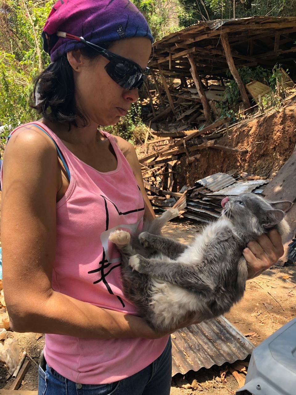 18 gatos fueron sacrificados por estar en terribles condiciones | La Teja