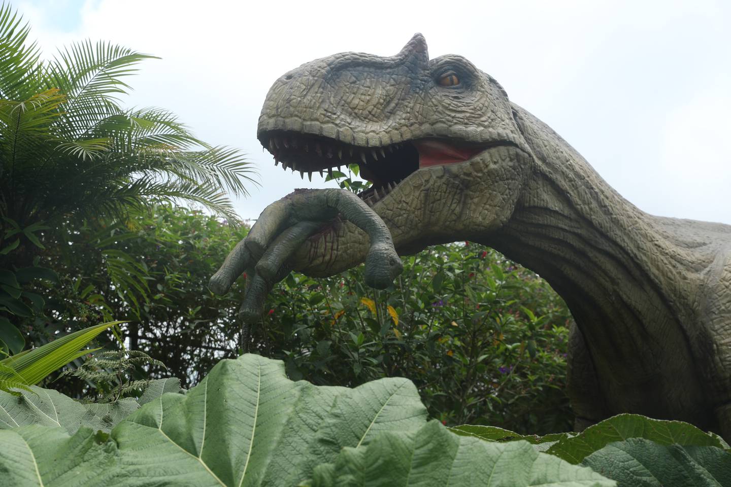 10/06/2024/ Fotos de el parque temático Dino Land en Bajos del Toro Alajuela para Yuplón / Foto John Durán