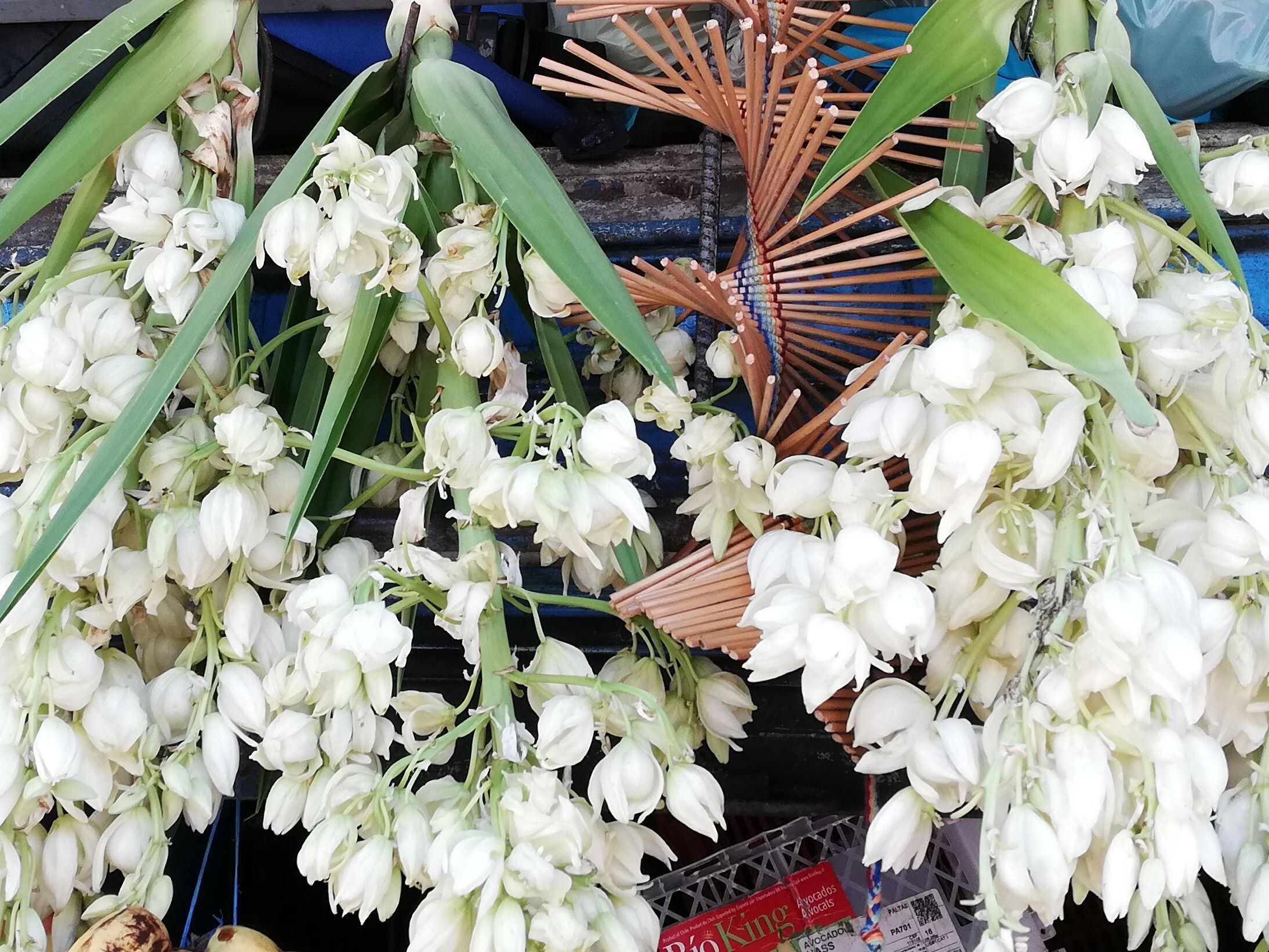 Flores comestibles en la gastronomía - Costa Verde